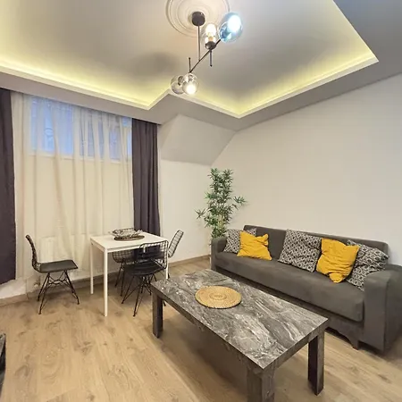 Large 2br Perfect For Groups Istanbul